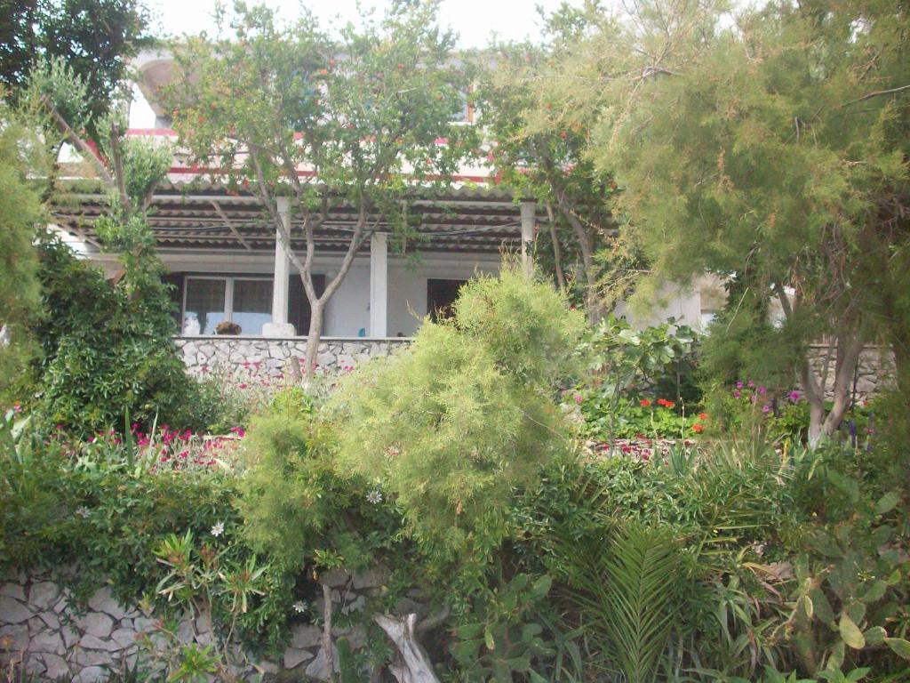 Apartments Tomovic Lumbarda Extérieur photo